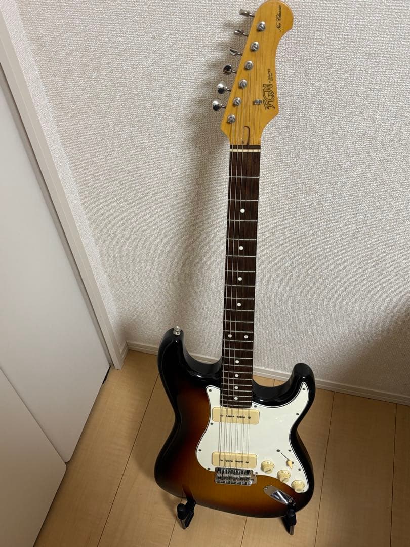 フジゲン　fujigen（FGN） SNST101【限定生産品】