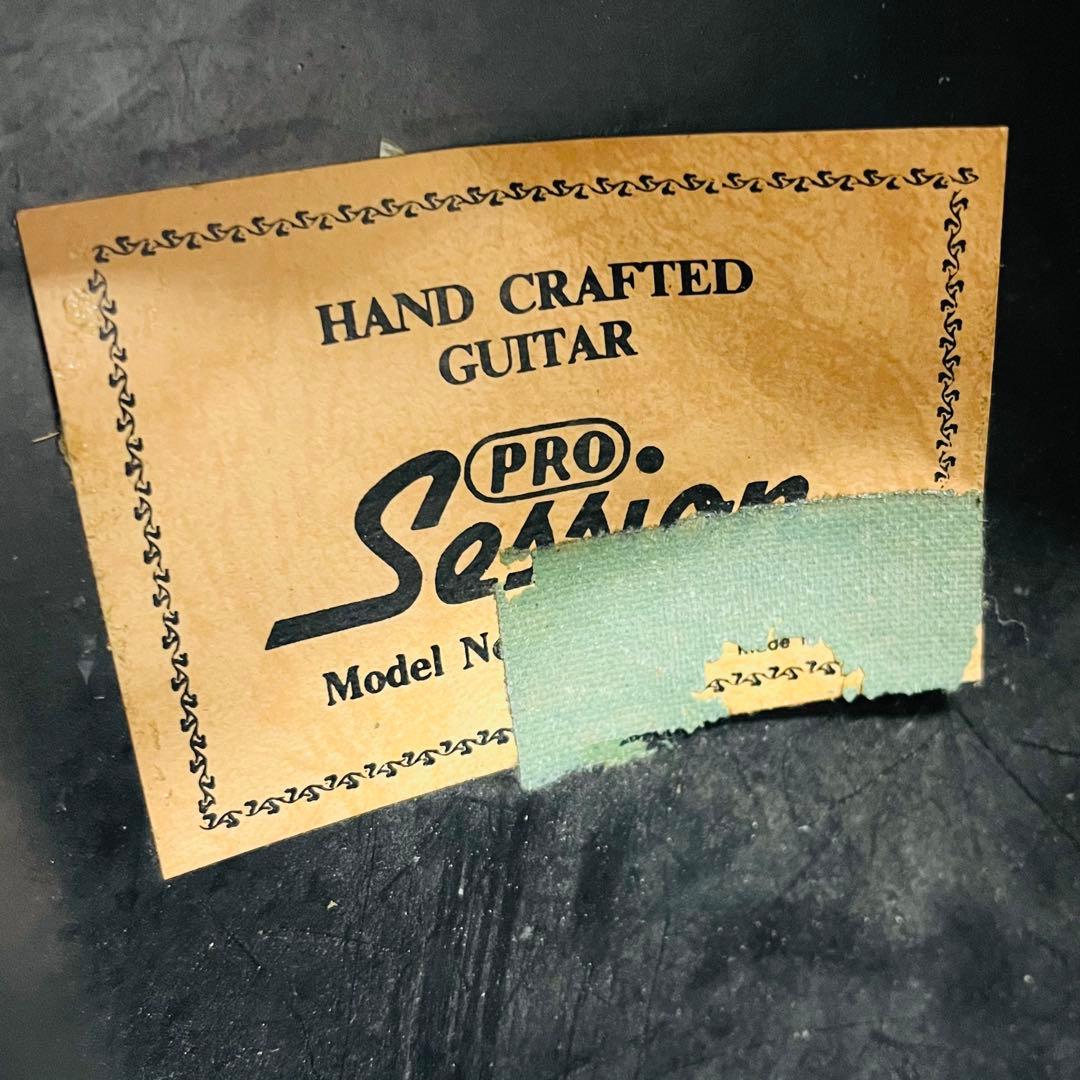 Pro Session エレアコ