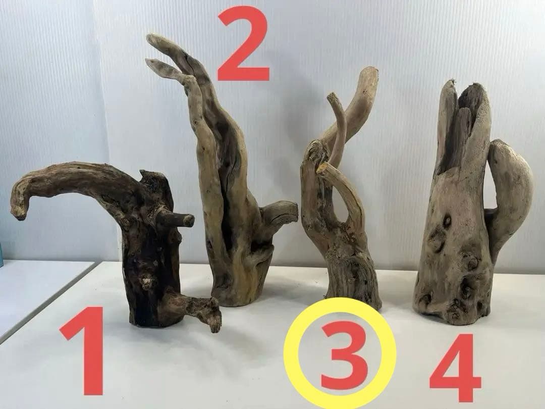 R70アク抜き済み流木 爬虫類シェルター レイアウト用 インテリア エアプランツ