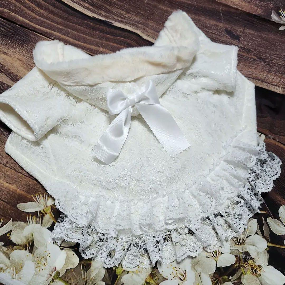 犬服　ぽぉ　ご確認　ハンドメイド