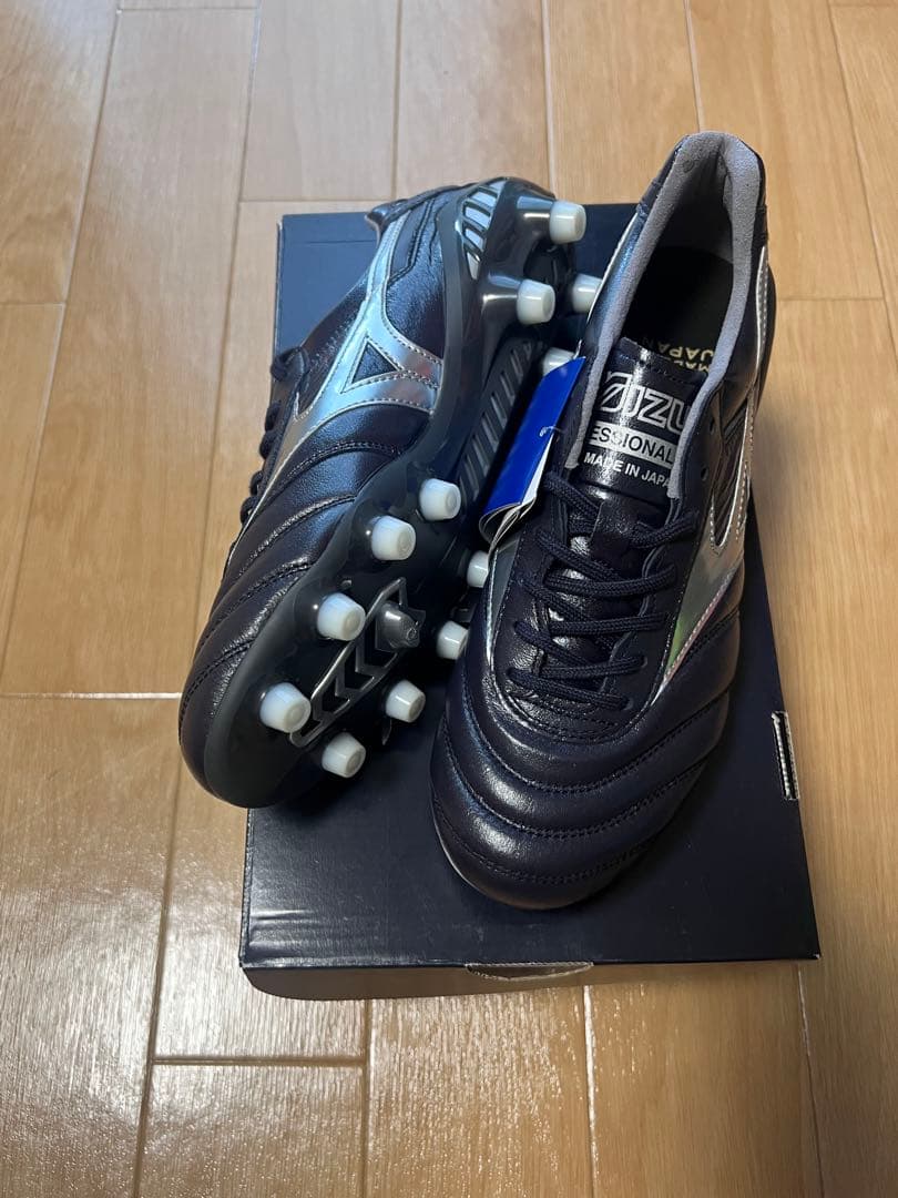 モレリアDNA 24.5cm