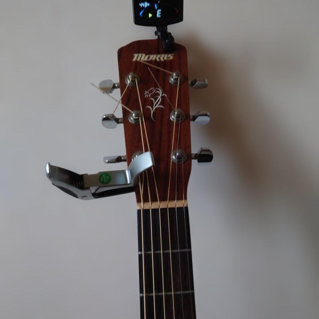 ギター MORRIS