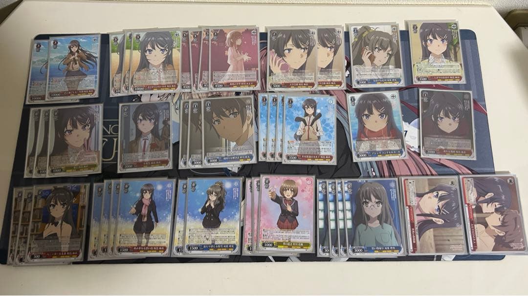 WS 青ブタ 8扉デッキ