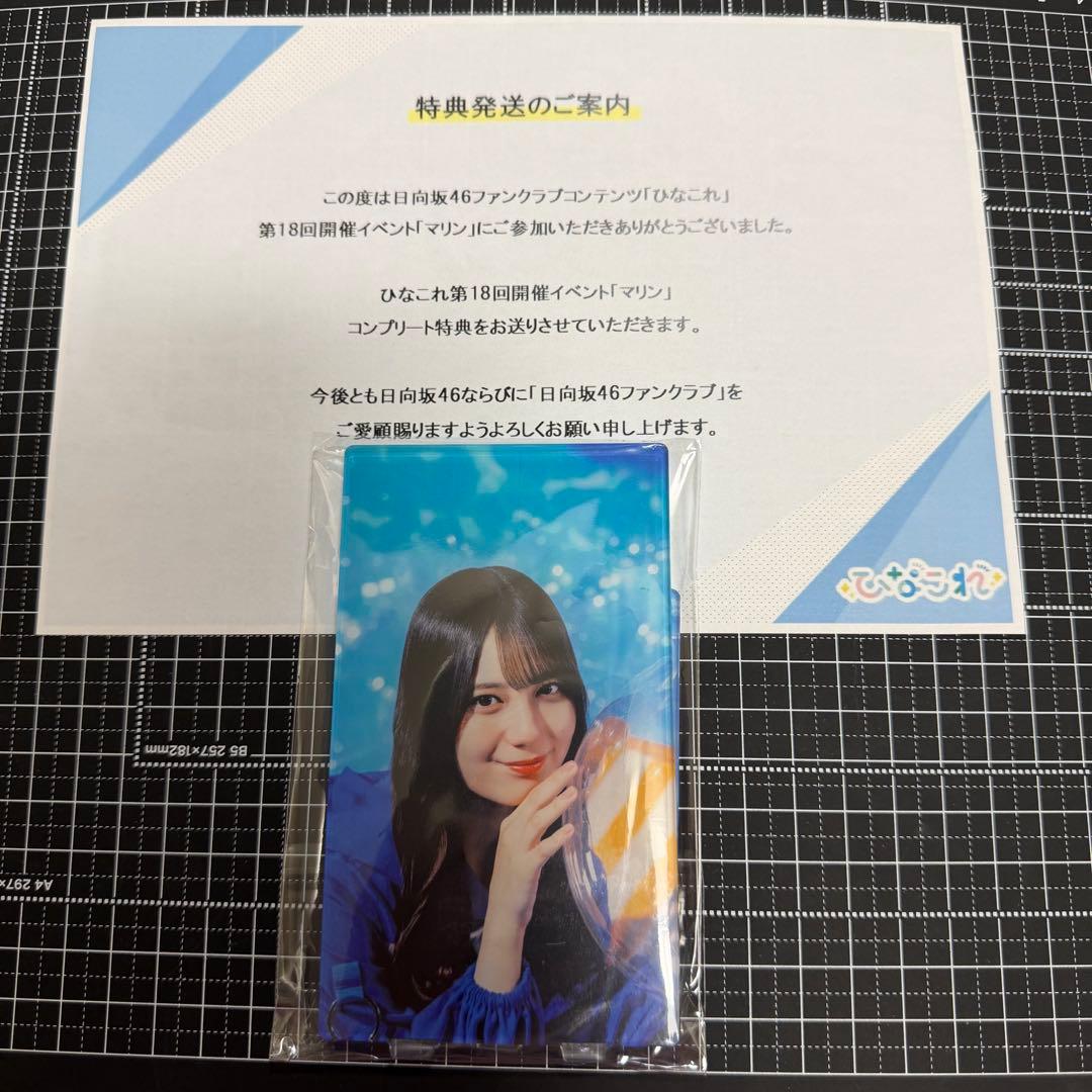 日向坂46 ひなこれ マリン コンプリート アクリルスタンド 小坂菜緒