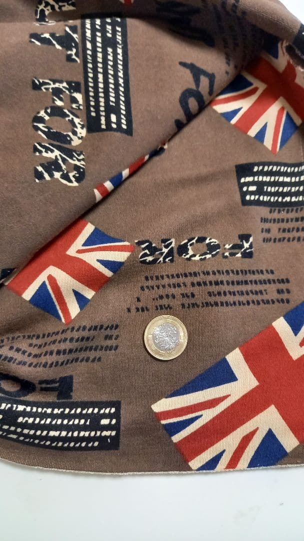 犬の服　国旗柄