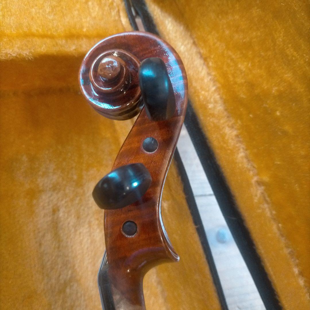 赤褐色 ビオラ本体