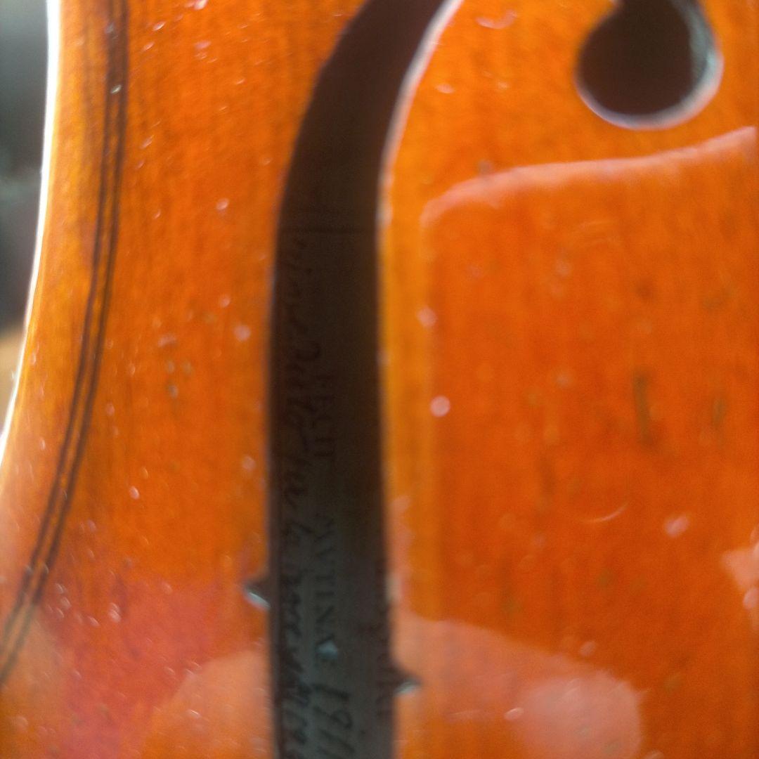 赤褐色 ビオラ本体