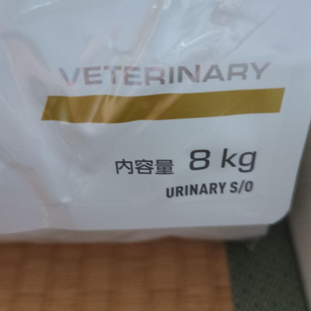 Toshinaka　 CANIN ユリナリー S/O