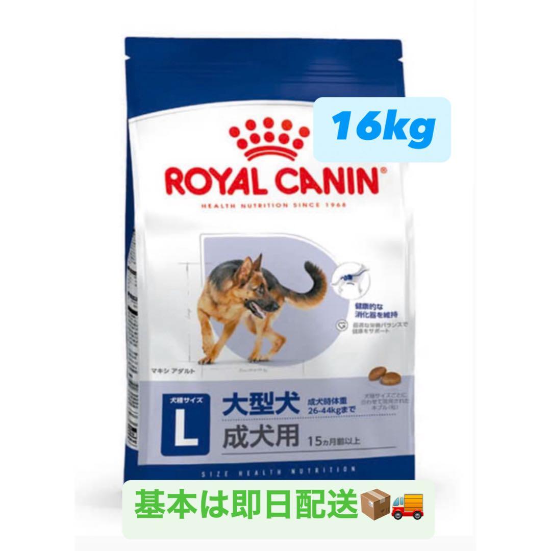 大型犬用 ドライフード 16kg 成犬用　 新品未開封　ロイヤルカナン