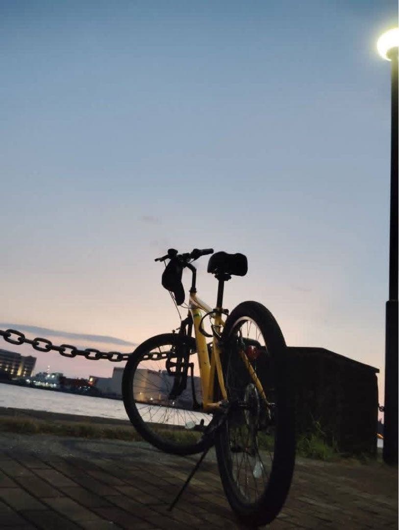 イエロー ロードバイク