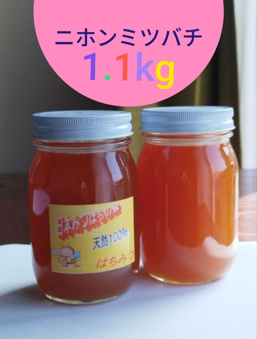 完売御礼■国産はちみつ、ニホンミツバチ、合計1.1kg