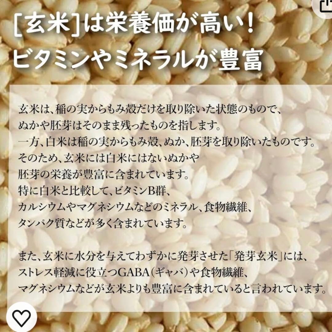 愛媛県産ひめの凛(愛媛県ブランド米)玄米 30kg 今治市の農家さんの 精米前