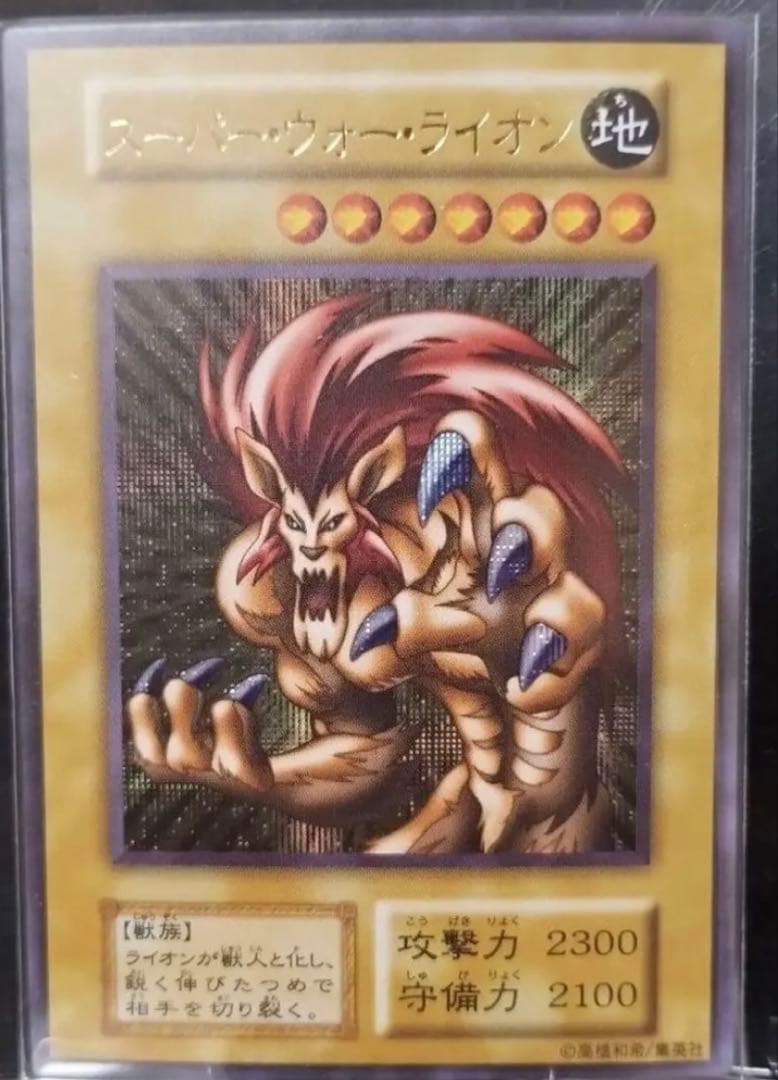 カオス・ソルジャー　女剣士カナン　ゼラ　他　鑑賞用