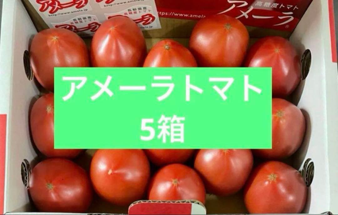 アメーラトマト 5箱