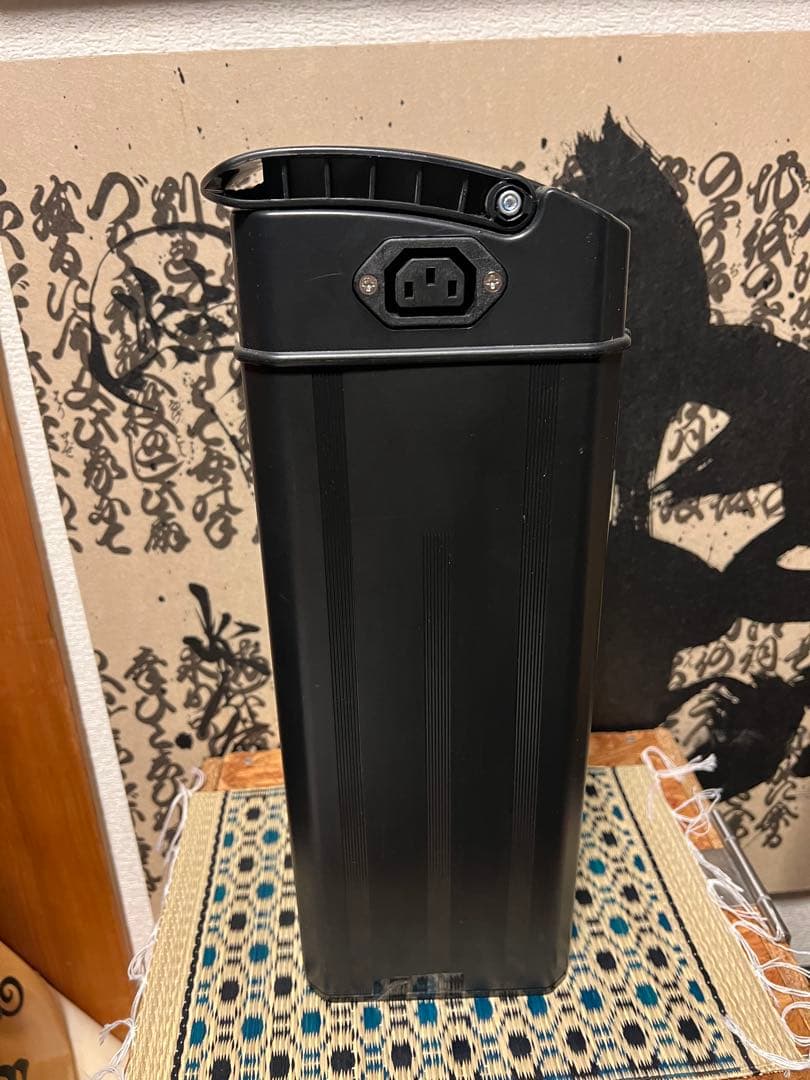 超大容量 リチウムバッテリー 48V 20Ah フル電動自転車　モペット