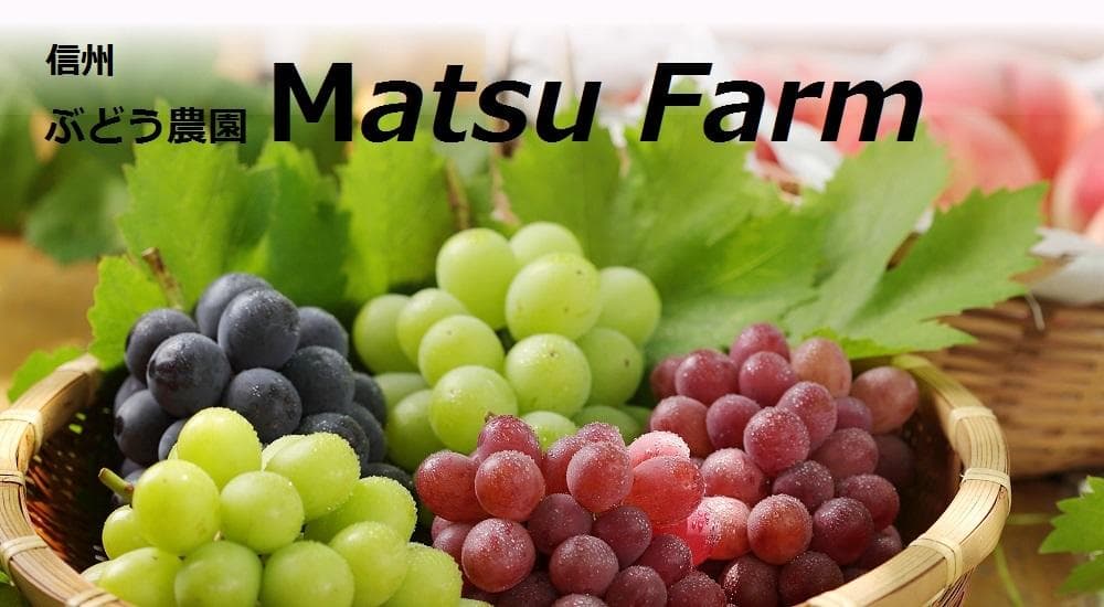 チル様向け商品　　ヤマト便(常温)送料込み　8,300円