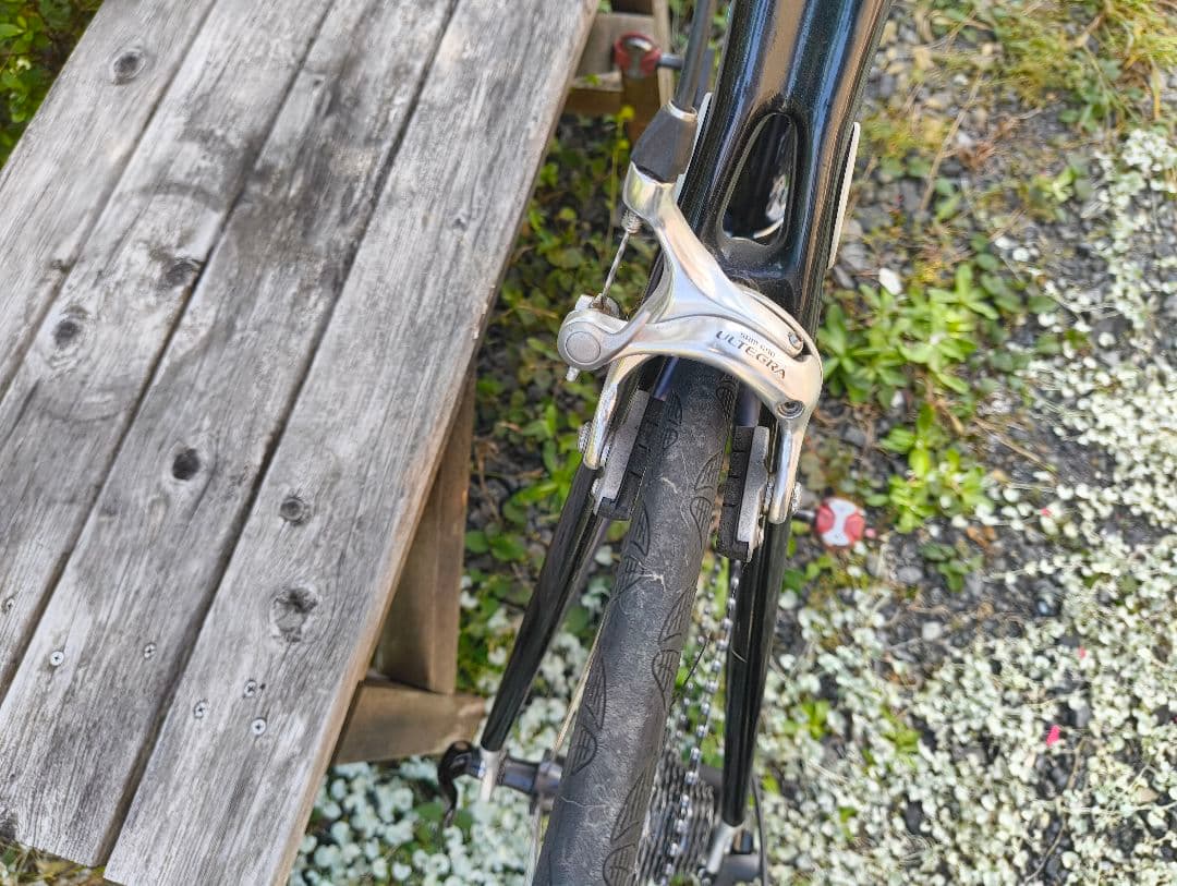 どうでっかTrek ロードバイク マドンSL5.2 madome OCLV110