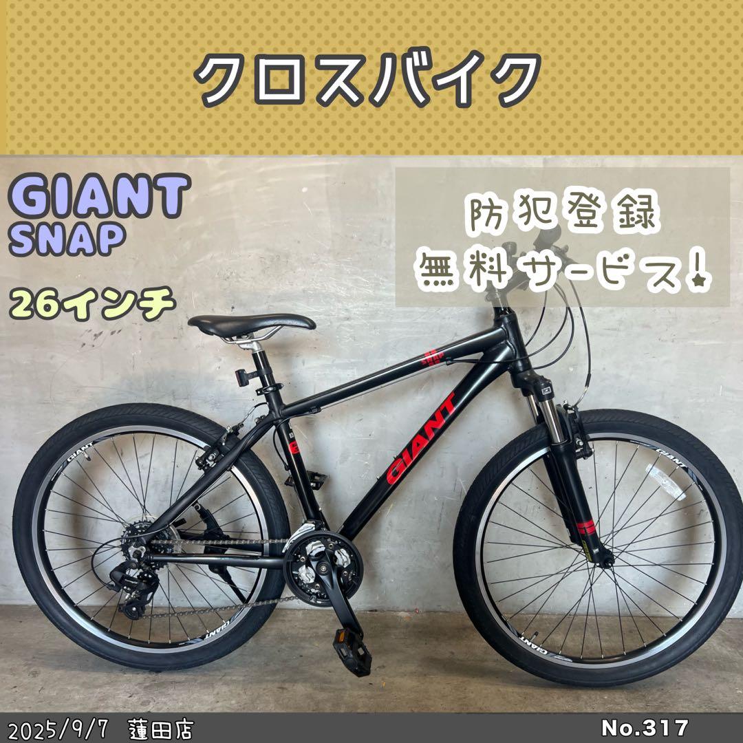 GIANT SNAP MTB マウンテンバイク クロス　ジャイアント　スナップ