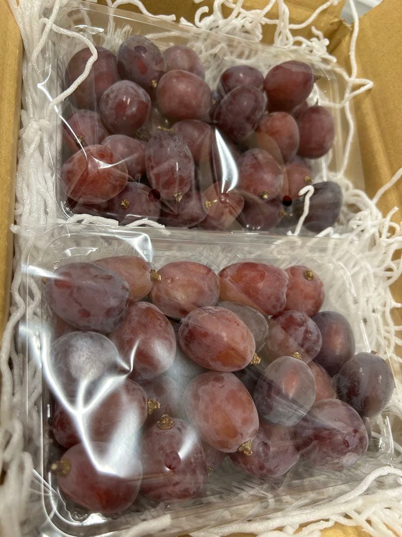 富士の輝き　2k まこちゃん様