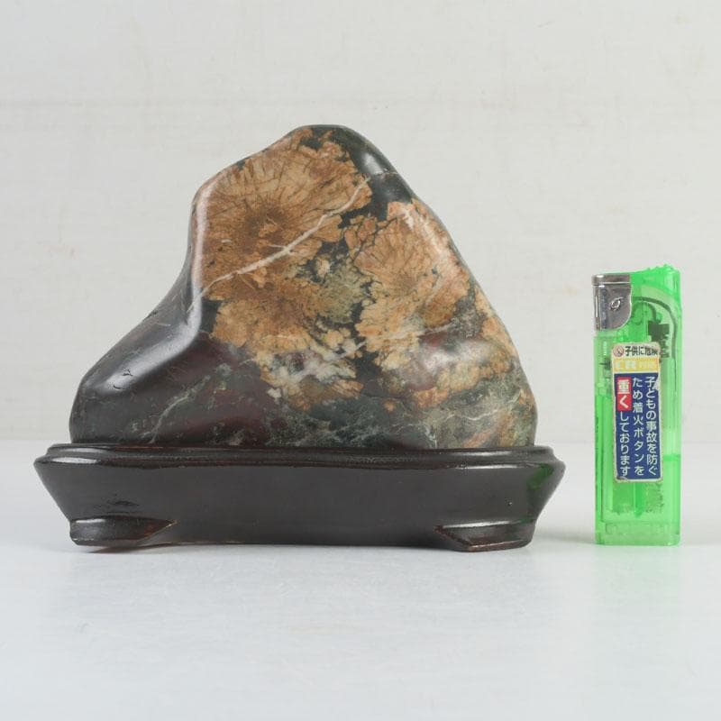 天然石　鑑賞石　菊花石　置物　重さ約792g　唐木台付　V　9424