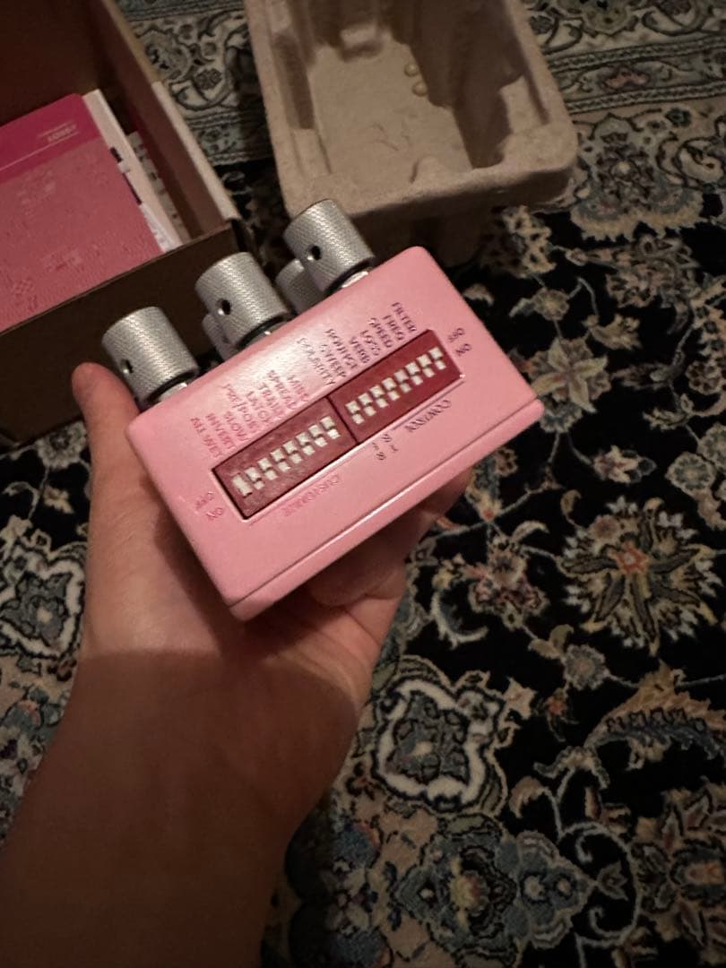 Chase Bliss Lossy チェイスブリス