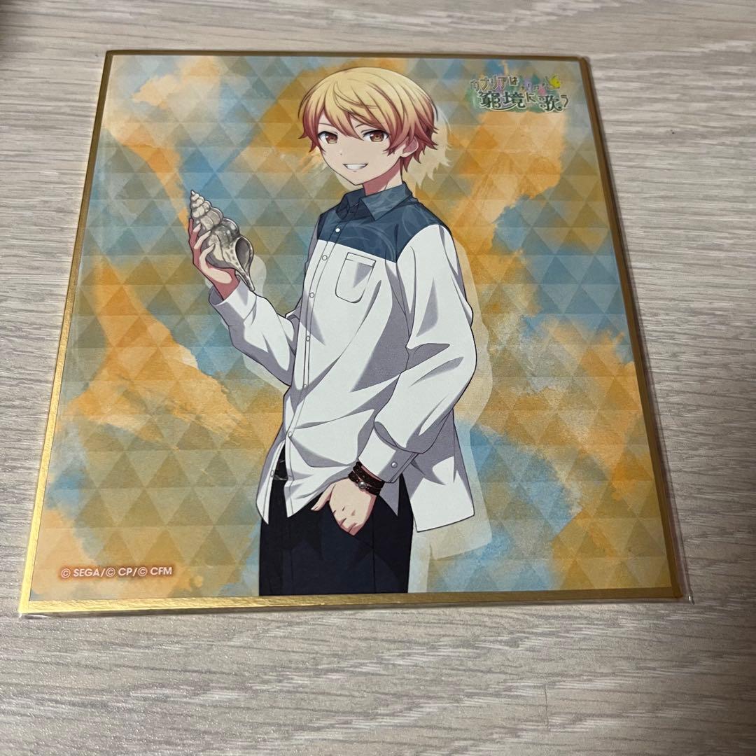 希少 レア プロセカ SEKAI ALBUM vol.2 特典 缶バッジ 白石杏