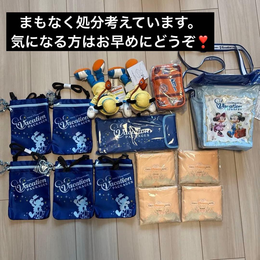 ディズニーリゾート バケーションパッケージ セット