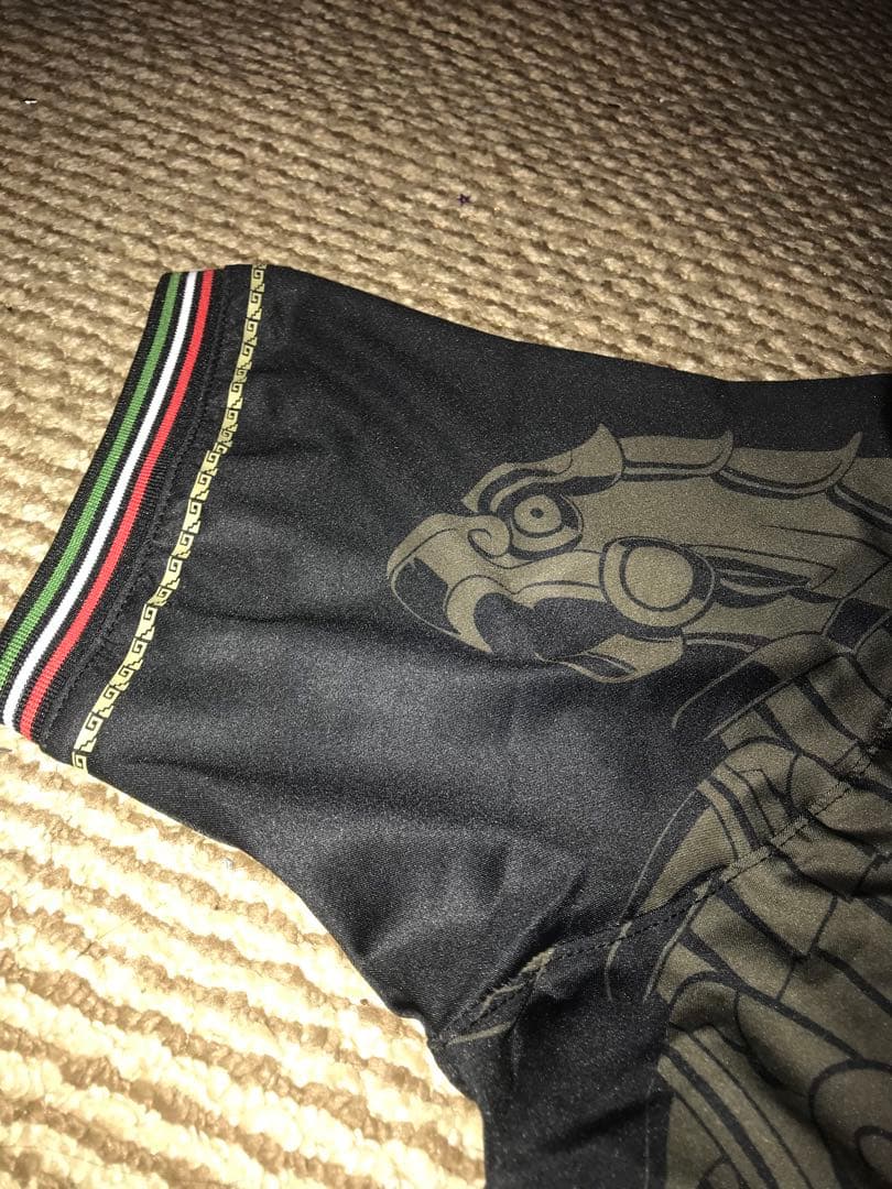 本物 Authentic NOCHE UFC VENUM ジャージーXLサイズ