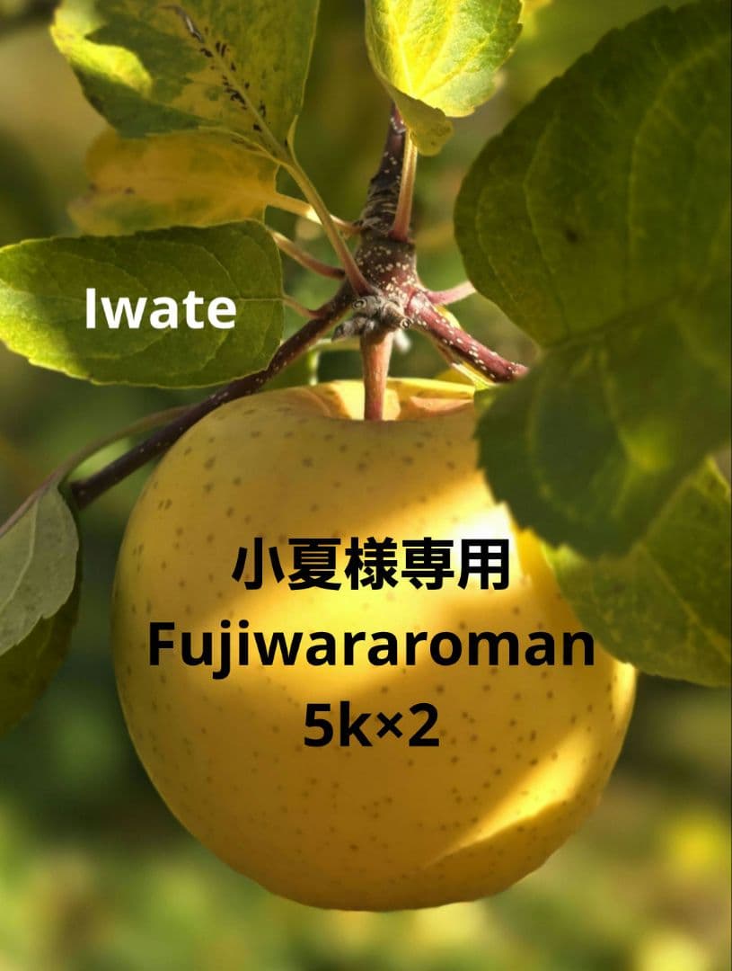 小夏☆藤原ロマン・5k×2箱