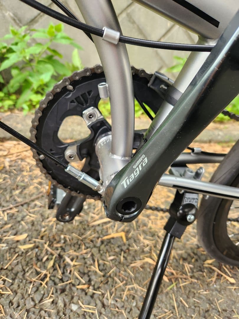 DAHON スピードファルコ　カスタム　マットシルバー