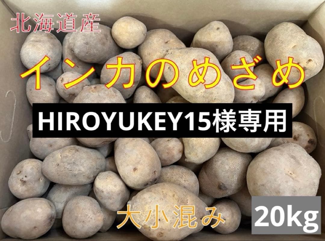 【HIROYUKEY15】北海道産じゃがいもインカのめざめ大小混み20kg