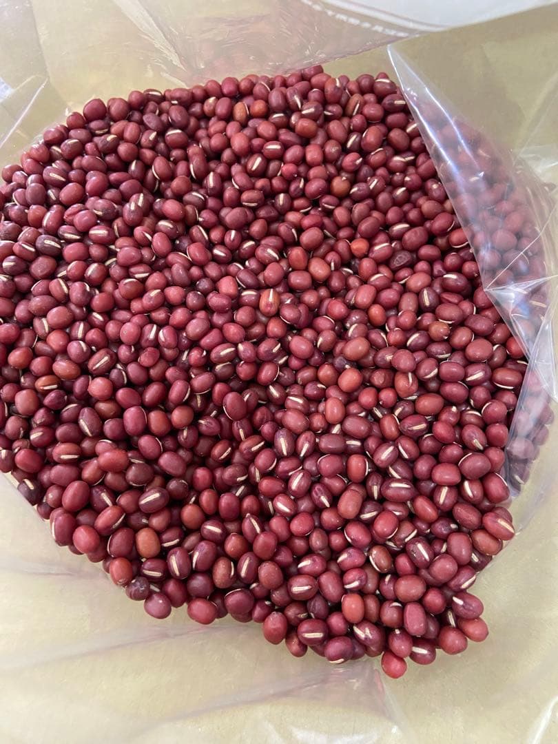 Ｒ７北海道石狩市産あかね大納言小豆10キロ