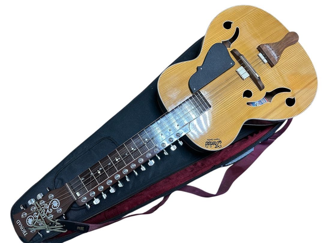 インド楽器 モハーンヴィーナ　Mohan Veena アコースティックギター