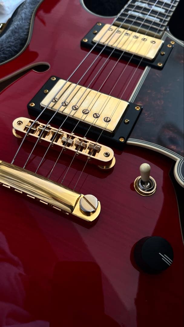 上位仕様　D’Angelico Excel Mini DC Duncan 59