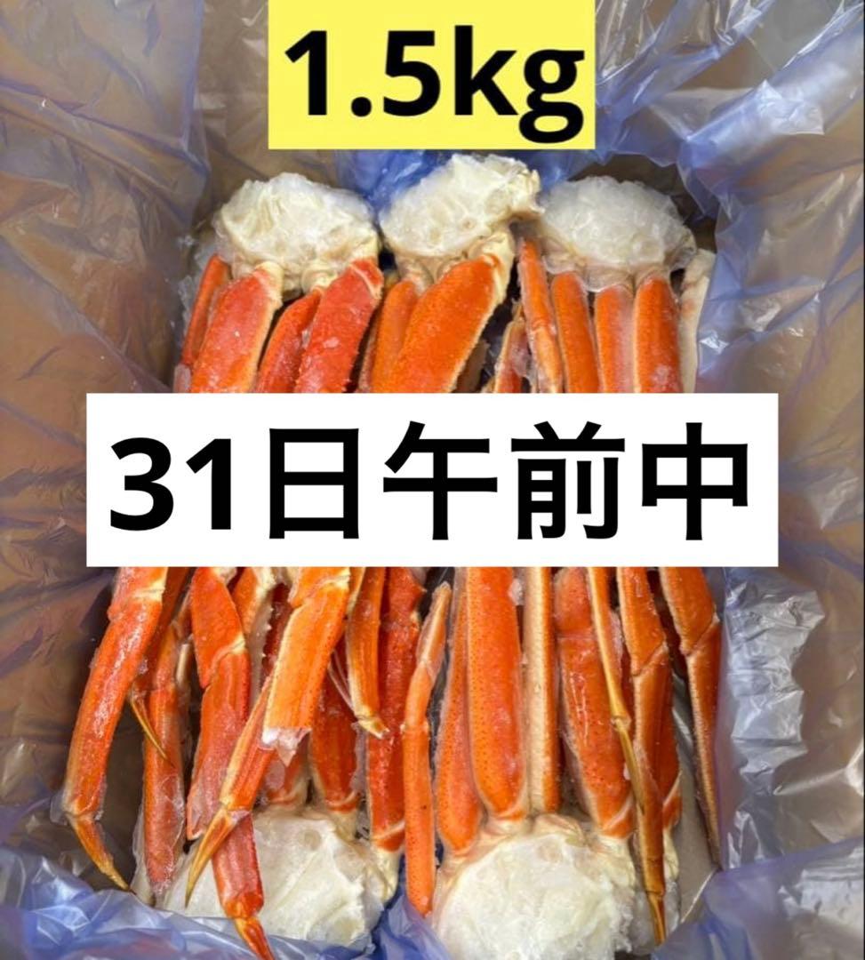 【31日午前中希望】タロシロ 1.5kg