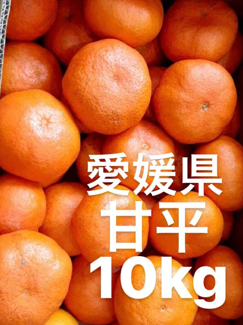 愛媛県産　甘平　柑橘　10kg