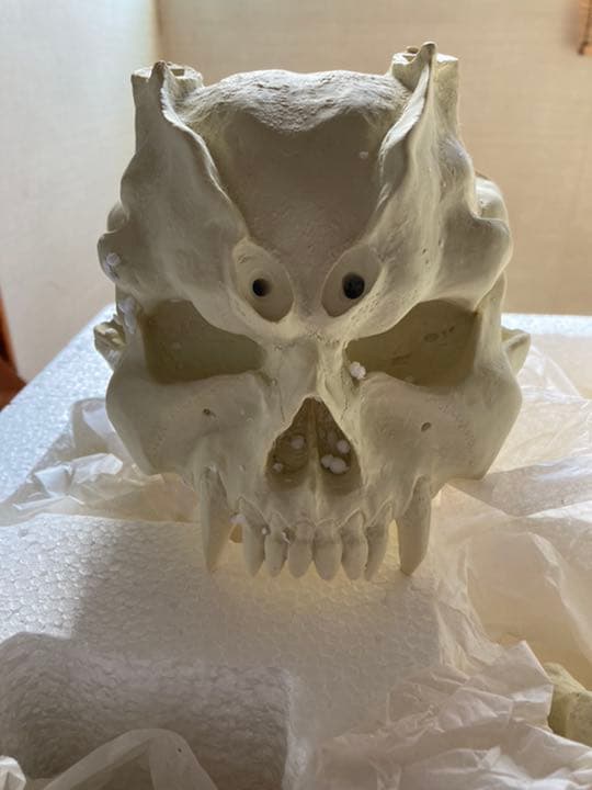 DEVILMANS'ＳKULL デビルマン スカルヘッド1/1