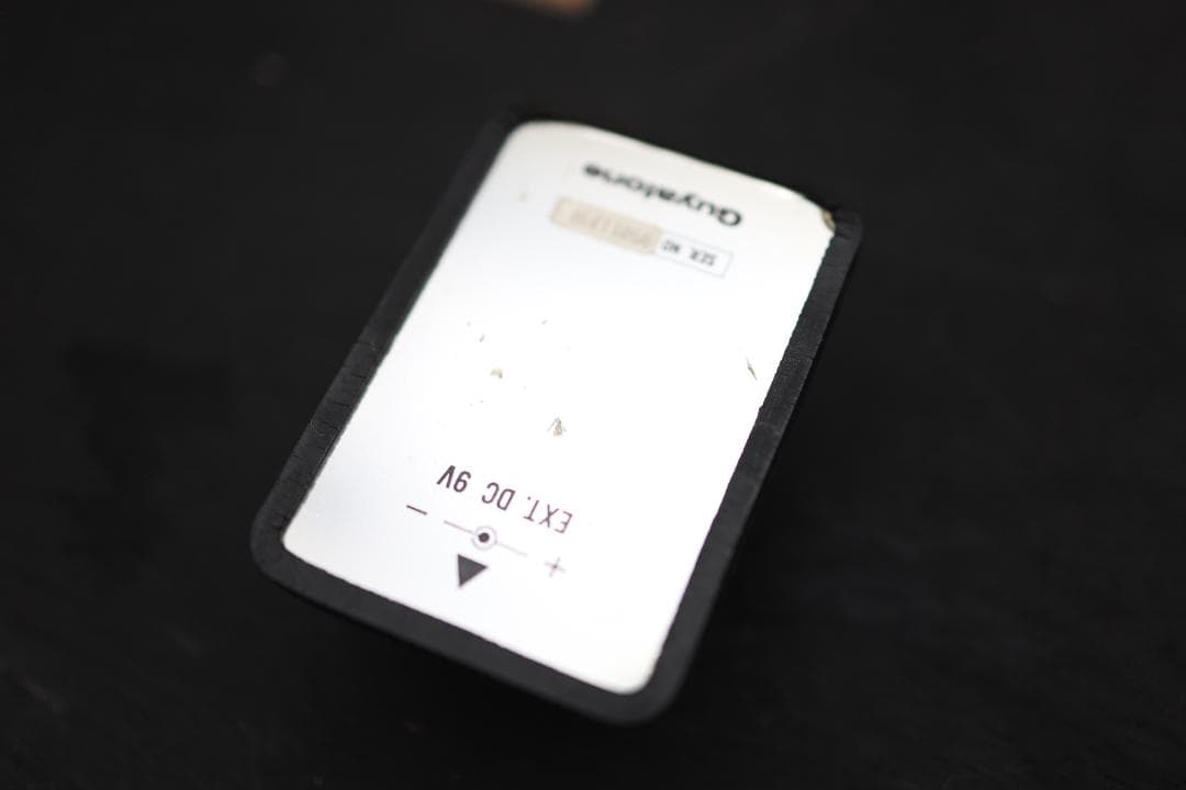 ギター GUYATONE SWR2