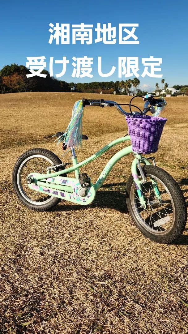 ELECTRA SPROCKET 16\