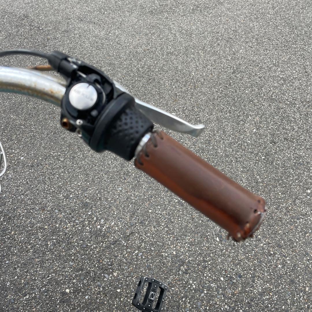 エレクトラ　ビーチクルーザー　蓮の花