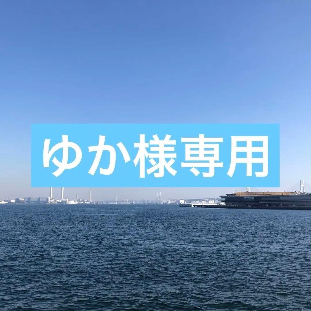 専用ページです【未開封】海外マステ　LION STUDIO 2巻　RECO2巻