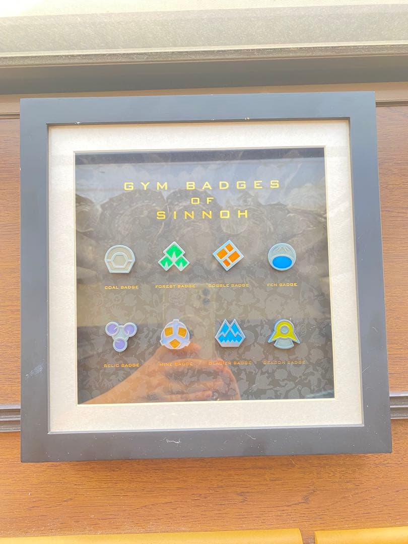 シンオウ ジムバッジ コレクション フレーム付き