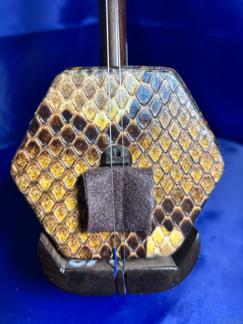 蘇州二胡（無名）　二胡#012