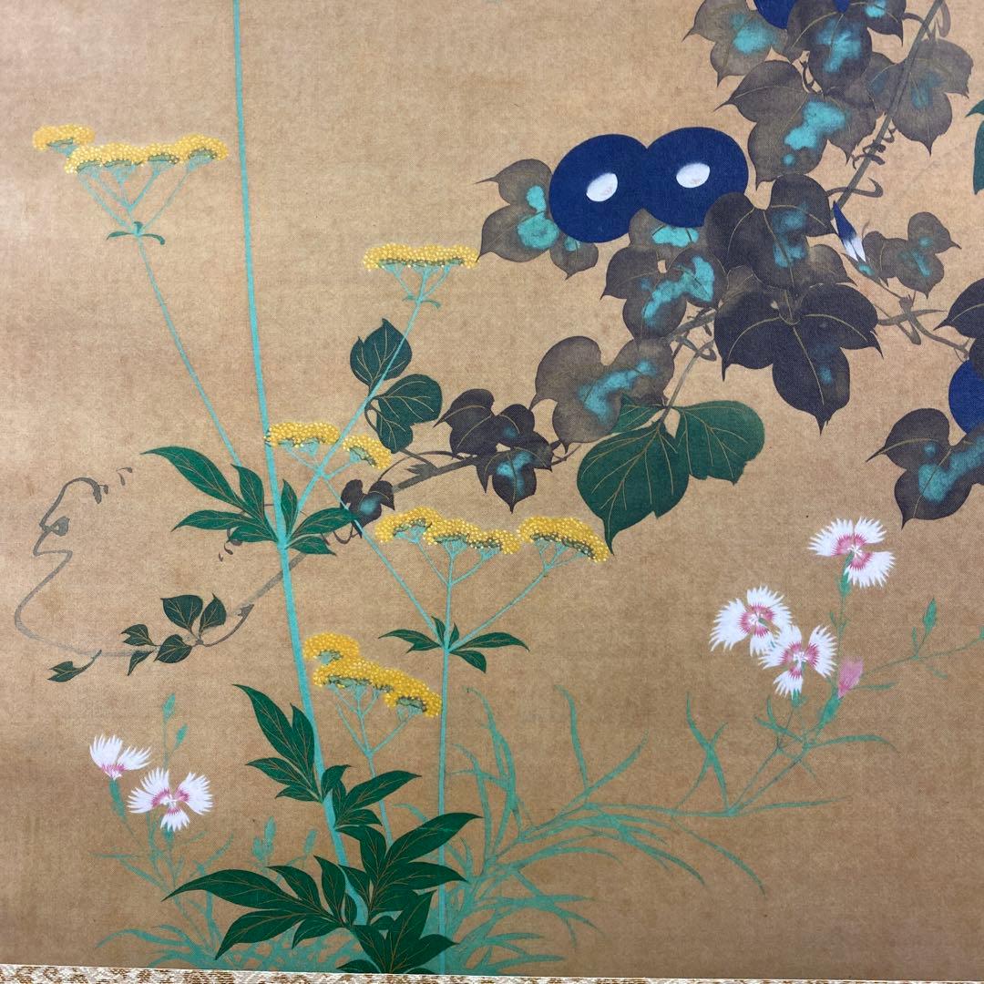 美品 掛け軸 酒井抱一筆「七草図」印刷 解説付き 秋掛け おもてなし