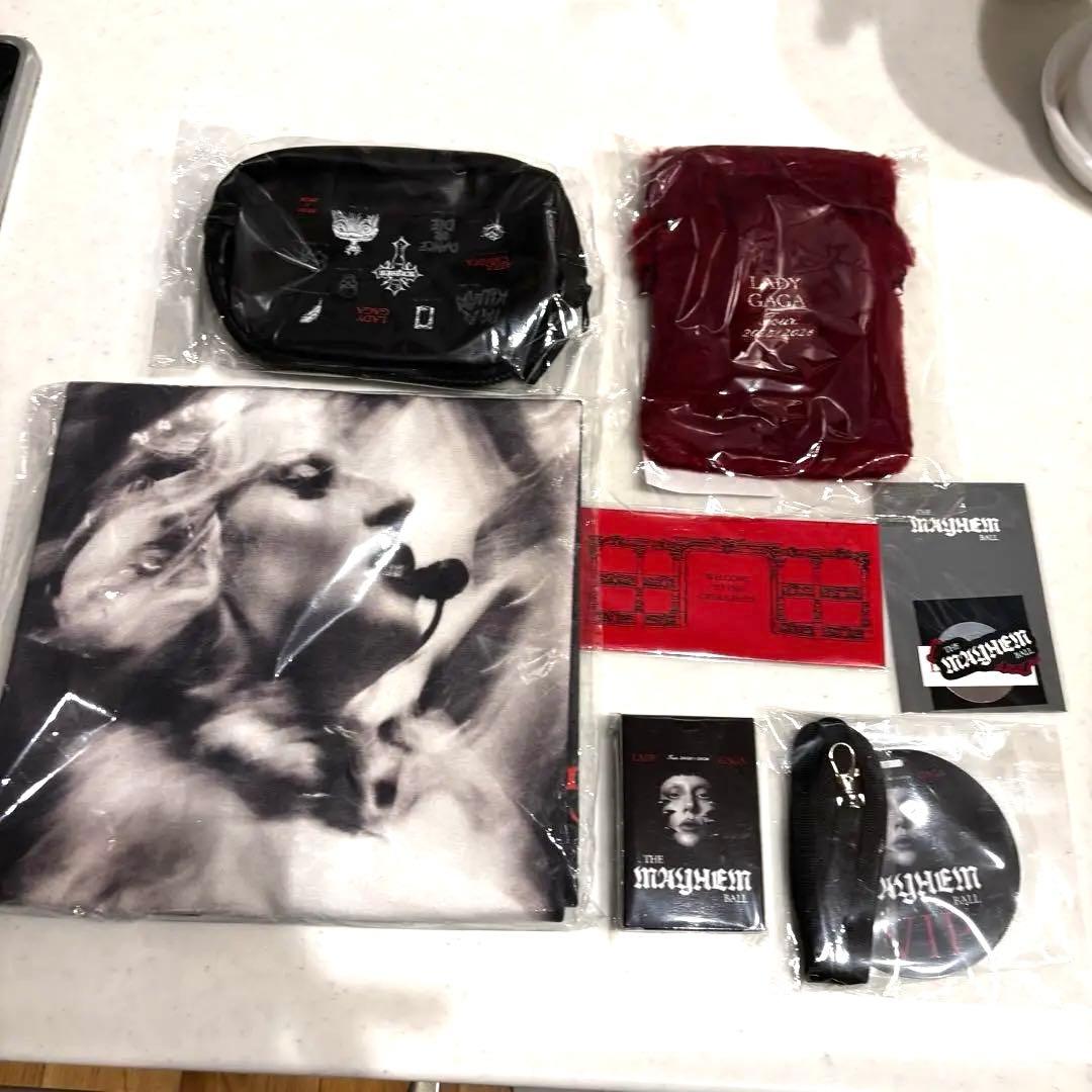 【早い者勝ち！大人気】レディーガガ2026 東京ドーム VIPゴールド特典セット