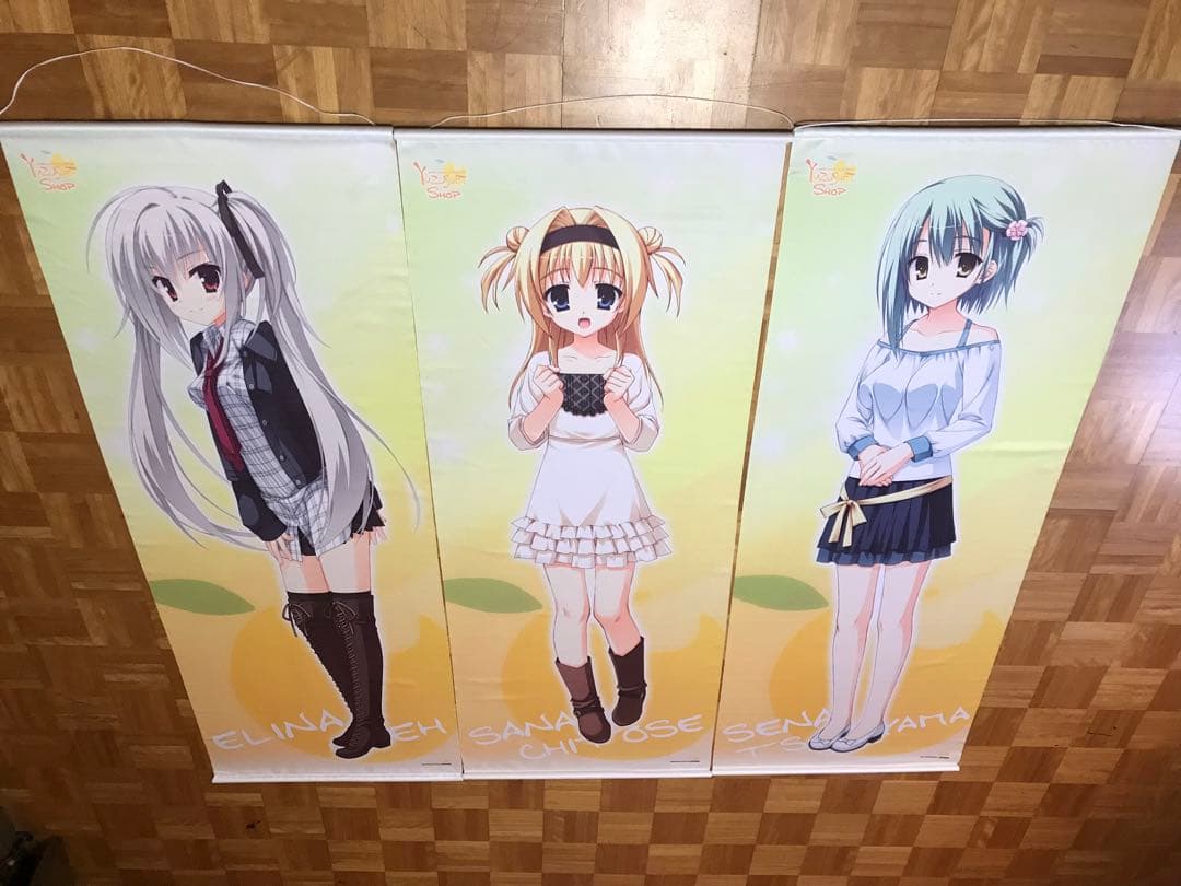 ゆずソフト エリナ 佐奈 瀬奈 タペストリー ドラクリオット 天神乱漫 のーぶる