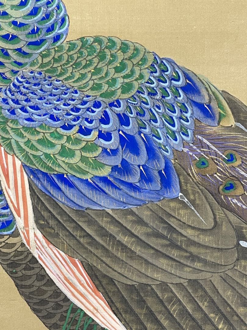 日本画 　熊斐銘　孔雀図 掛軸　肉筆　絹本　時代箱付　古美術 4C06-11
