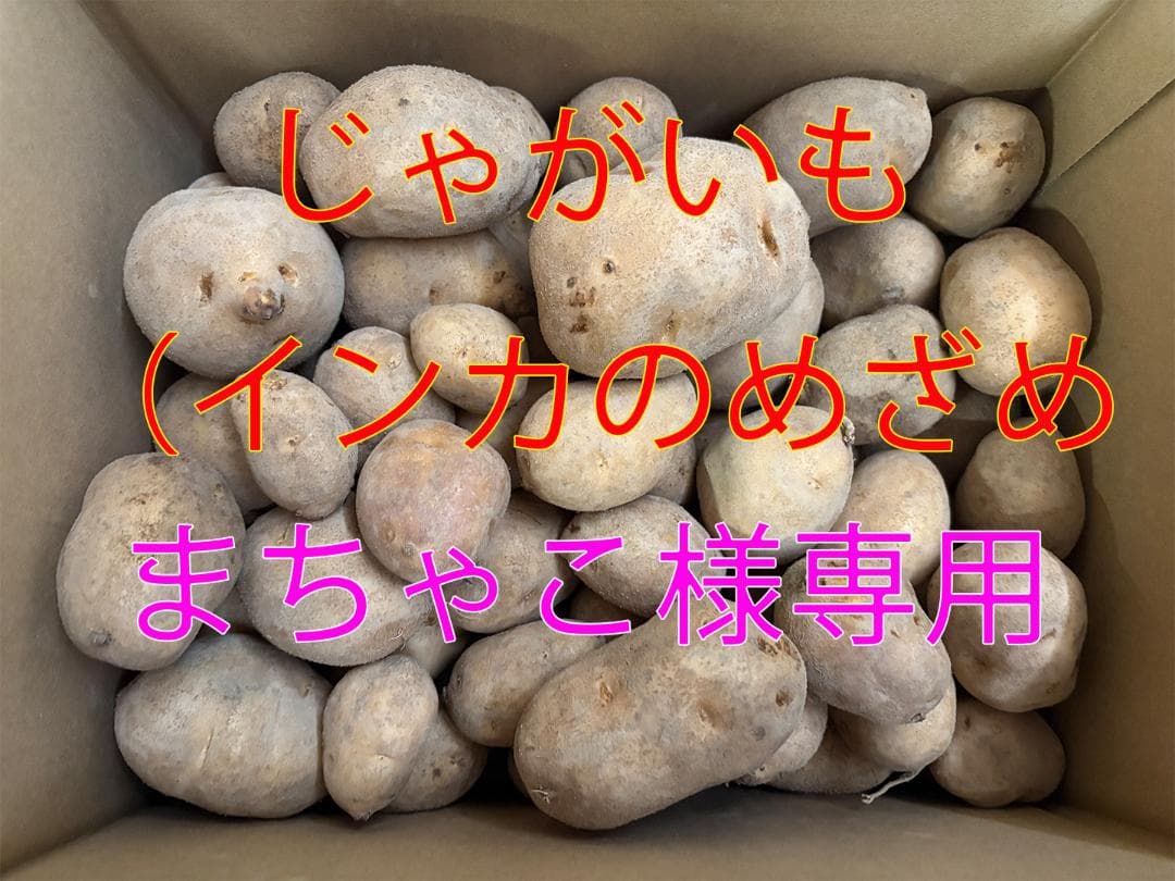 【まちゃこ】北海道産じゃがいも（インカのめざめ）　大小混み20kg3箱