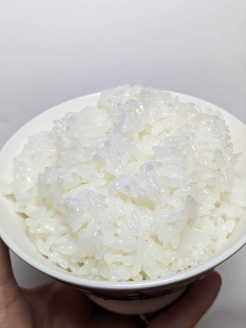 令和7年産　ゆめぴりか　10kg　精米　特A一等米　北海道米　ノーブレンド