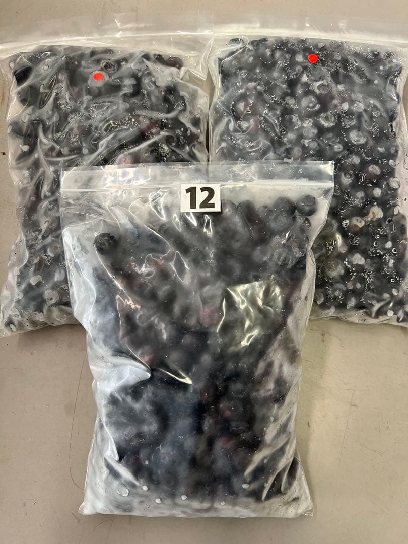 えれまま中粒ブルーベリー3kg